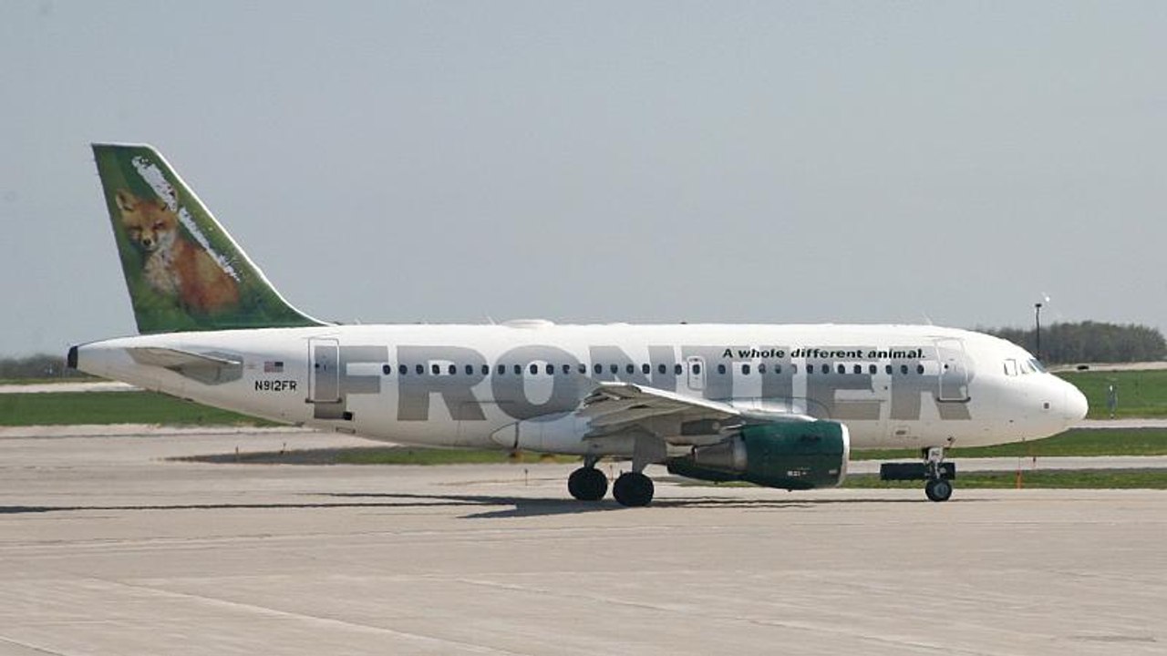 شاهد: سنجاب يؤخر إقلاع طائرة مدنية في الولايات المتحدة الأميركية لمدة ساعتين