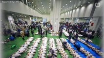 Tokyo's New Fish Market, Largest In World, Opens For Business