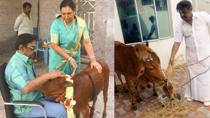 விஜயகாந்த் வீட்டிலிருந்து 2 பசு மாடுகள் திருட்டு- வீடியோ