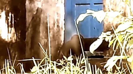 Ghost Jumping From Building Caught On Camera | Scary Videos