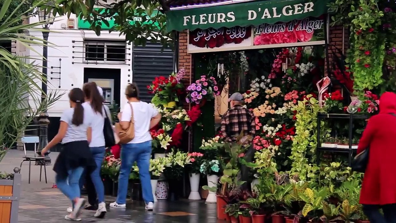 Alger, cité des paradoxes