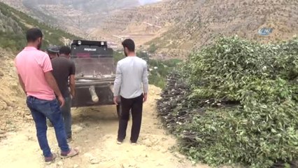 Beytüşşebaplı Köylülerin Zorlu Kış Mesaisi Başladı