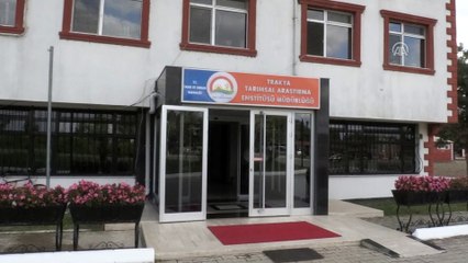 Çiftçi böcek türlerini bu müzede tanıyacak - EDİRNE