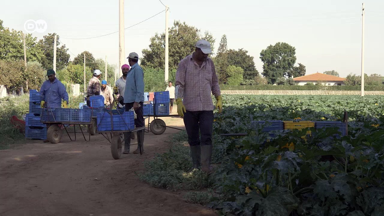 Indische Schwarzarbeiter in Italien | Reporter