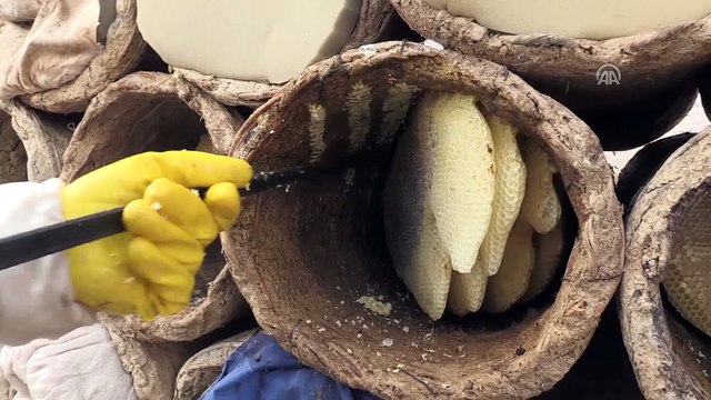 Hizan'ın karakovan balı Avrupa pazarında - BİTLİS