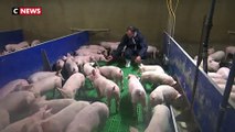 Le bien-être animal, une préoccupation pour l’association 60 millions de consommateurs