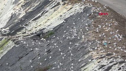 Tabiat Parkı Bitişiğine Yeni Çöp Alanına Tepkiler Sürüyor