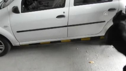 Otomobilde 79 Kilogram Eroin Ele Geçirildi - Düzce