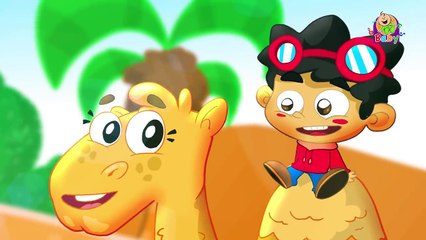 الجمل - طيور بيبي _ Toyor Baby