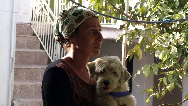 Antalya’da yangından, ’Cesur’ köpeğin kurtardığı aileye yardım eli
