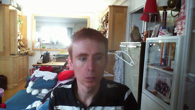 Wiwi égratigne un singe en hiver d'Indochine