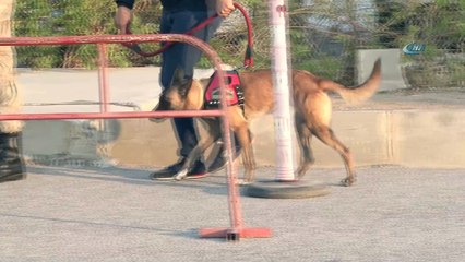 Papaz Brunson davası başladı