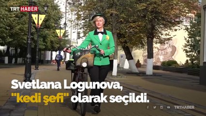 Rusya'da sıra dışı bir iş: Kedi şefliği