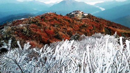 [날씨] 덕유산에 때 이른 서리꽃...내주 내륙도 본격 단풍꽃 / YTN