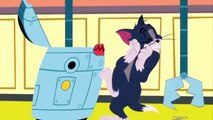 Tom and Jerry Cartoon  Es in English  2016 NEW
