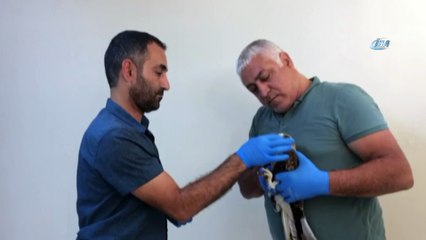 Tunceli’de tedavisi yapılan kartal doğaya salındı