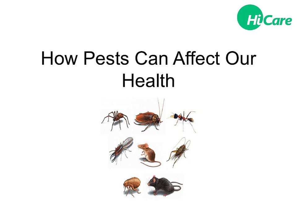 pestcontrol