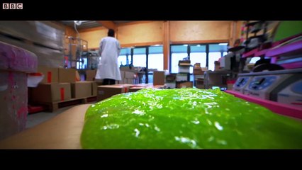 How slime turned around the fate of a glue factory- BBC News