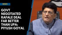 Govt negotiated Rafale deal far better than UPA: Piyush Goyal
