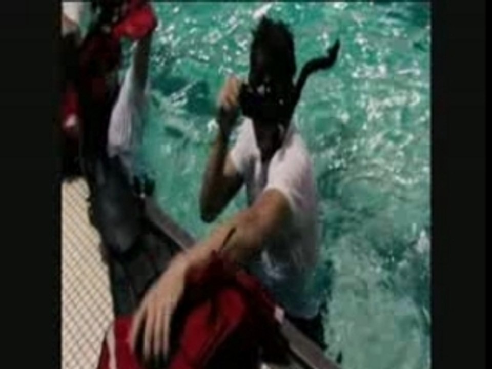Coast Guard  Point of Authority amv HD The Last Rescue