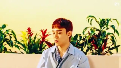 EXO RANDOM PLAY DANCE / NO COUNTDOWN