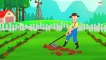 Tv cartoons movies 2019 Old MacDonald had a Farm   Nursery Rhyme