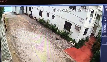 Assault at Indian Bay caught on camera. This man, identified as Terrano “Tone Boss” Samuel, of Troumaca, has been taken into custody in connection with this ass