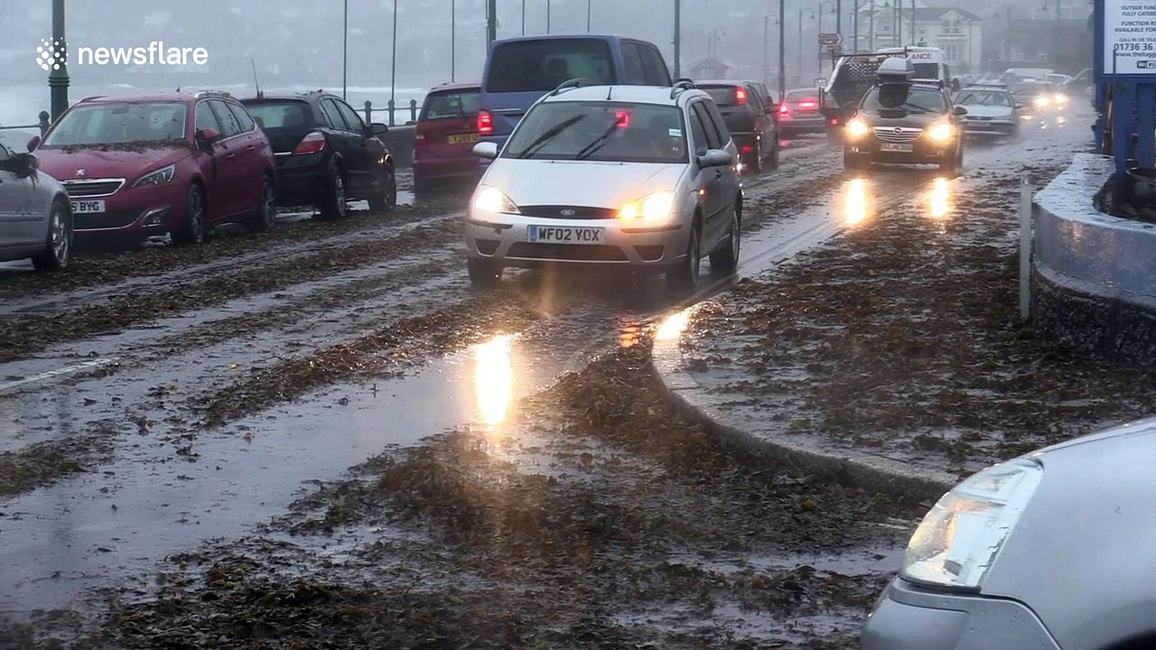 Storm Callum havoc leaves seaweed on cars, over-turned boats and fallen trees in Cornwall