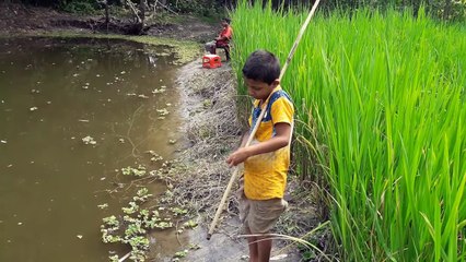 Village Fishing Video - Catfish Fishing with Hook