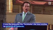Arnold Schwarzenegger Regrets Past Handling of Misconduct Allegations