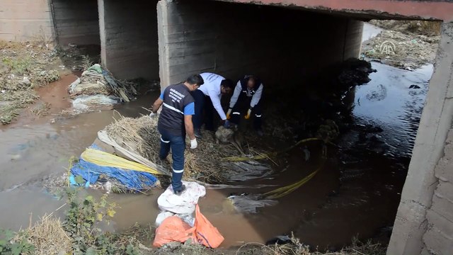 Yaralı köpeğin imdadına belediye yetişti - AĞRI