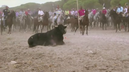 Fêtes en Espagne : la cruauté avec les animaux : taureau, oies, canards...