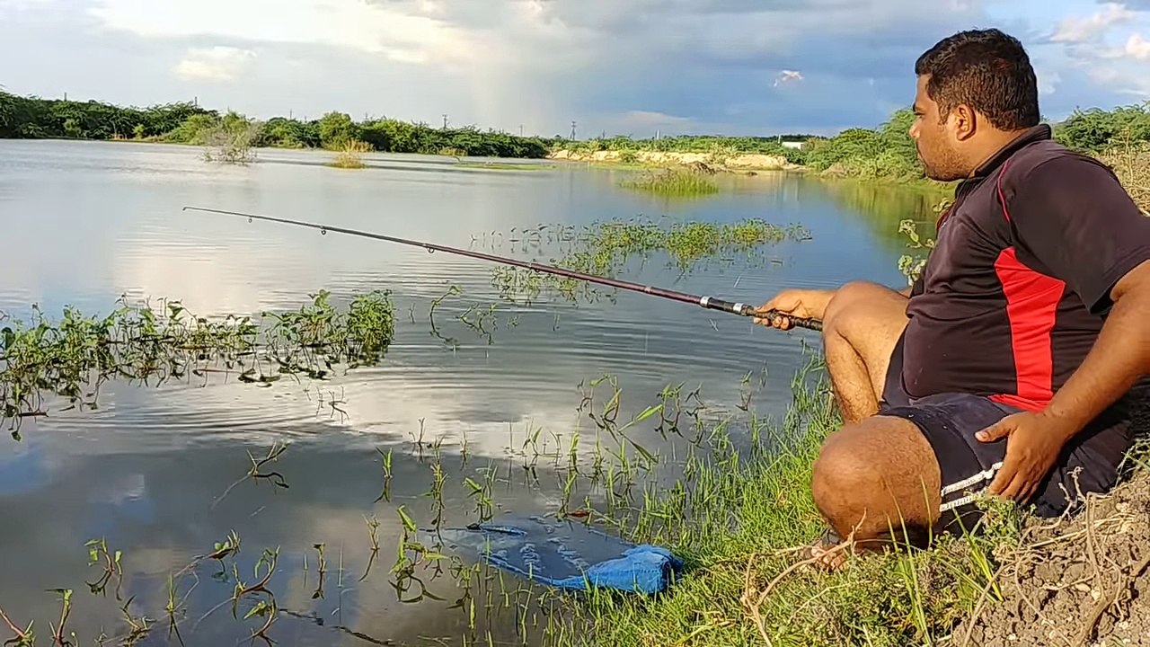 Fish hunting