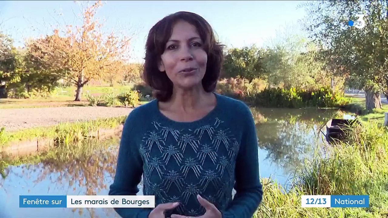 Fenêtre sur : les marais de Bourges