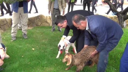 Tarım ve Orman Bakanı Pakdemirli Malatya'da