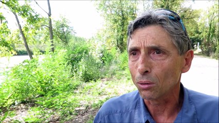 Isere : L’ADIDR répond à la Frapna : « Il y a toujours des arbres sur les berges »