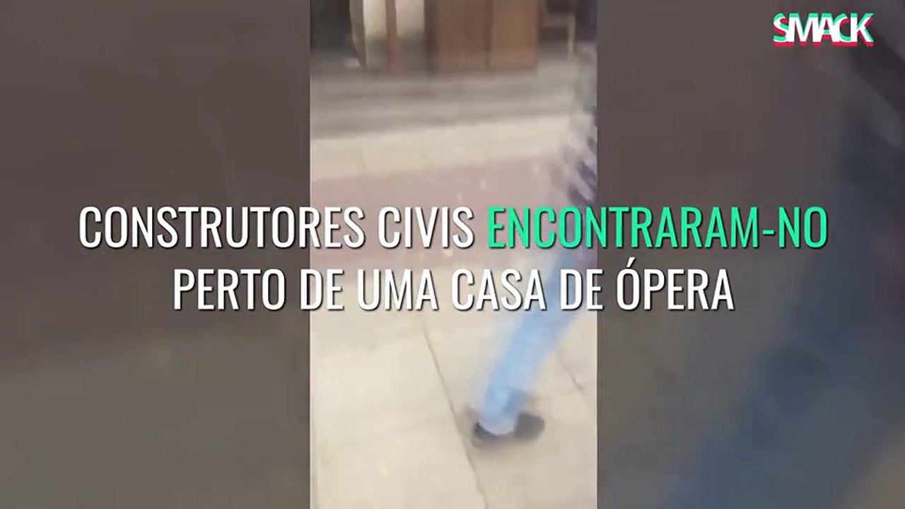 Dono reencontra o cão ao fim de 3 anos. Veja a reação