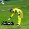 فيديو طريف.. #كلب يقتحم الملعب خلال مباراة #كرة_قدم ويتسبب بإيقاف اللعب لمدة 3 دقائق#عيش الآنالمزيد من المواد الترفيهية: