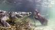Une mannequin nage avec un crocodile : séance photo à haut risque