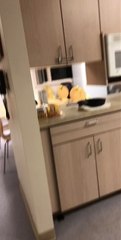 Raccoons Infiltrate Kitchen