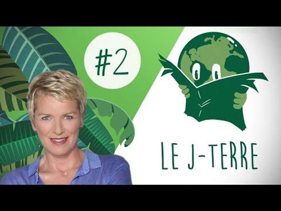 Le JTerre #2 L'Info des Vivants qui Veulent le Rester