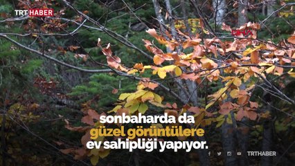 Sonbahar Uludağ'ı rengarenk ağaçlarla süsledi