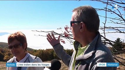 Vosges : les touristes séduits par l'été indien