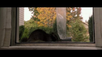 A DOG'S WAY HOME Movie