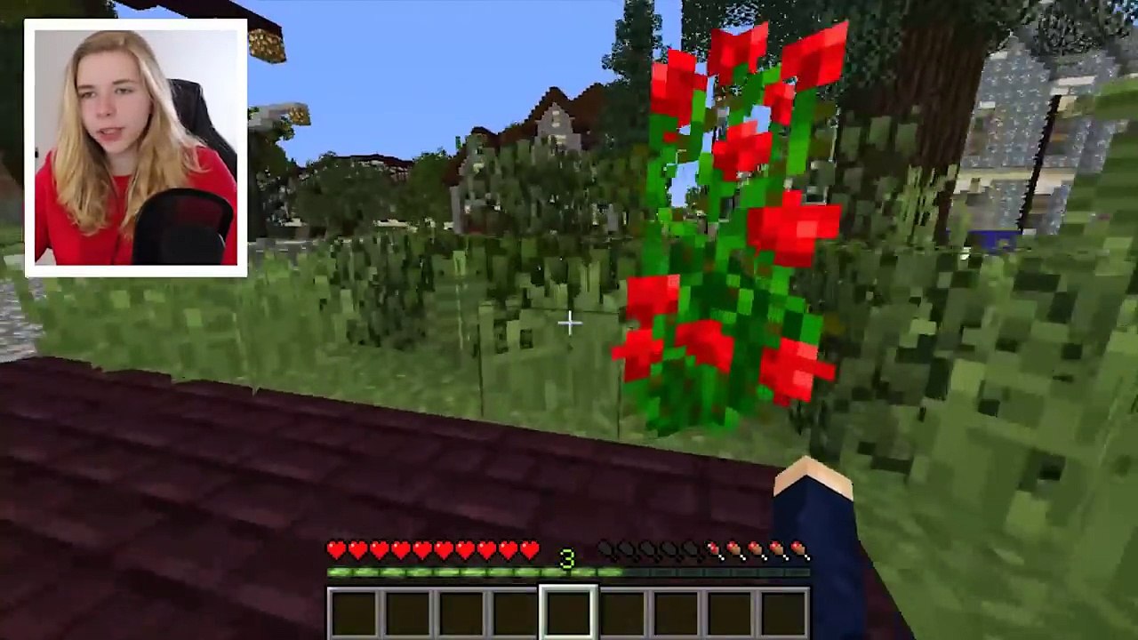 Einen Tag im KINO arbeiten!