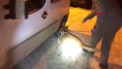 Van'da Durdurulan Otomobilde 52 Kilo 'Eroin' Ele Geçirildi