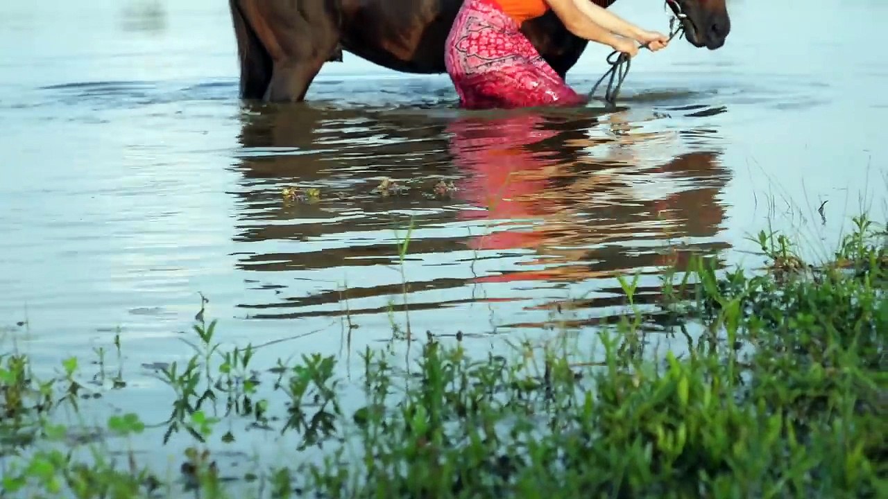 Fantastic! How to wash Horse in The small Park - Girl Village Cleaning Black Horse and Care 