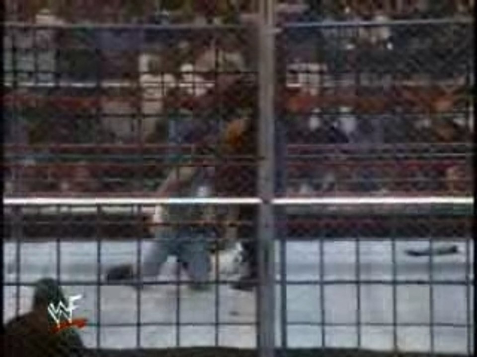 Kennel From Hell Snow v Bossman