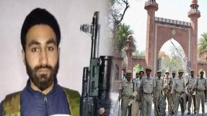 JNU के बाद अब AMU में लगे देश विरोधी आजादी के नारे,  Watch Video | वनइंडिया हिंदी