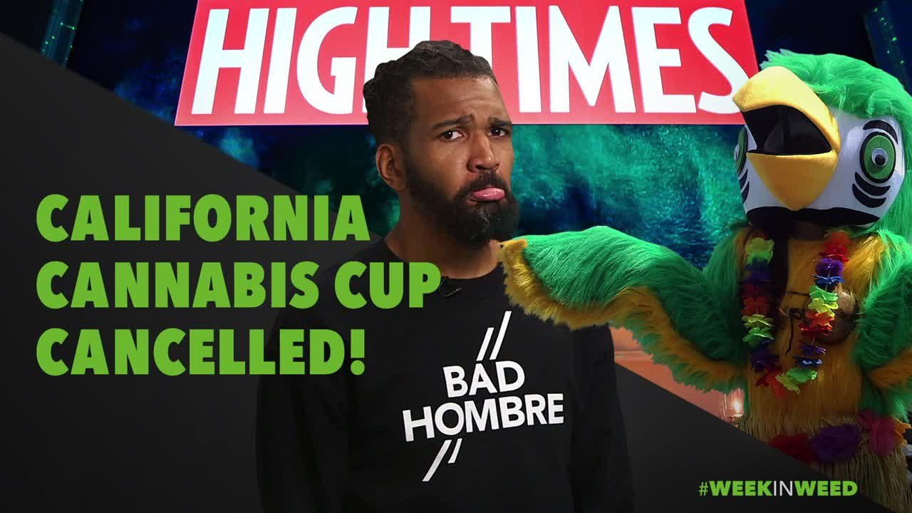 This Week in Weed: Cali Cannabis Cup Cancelled!